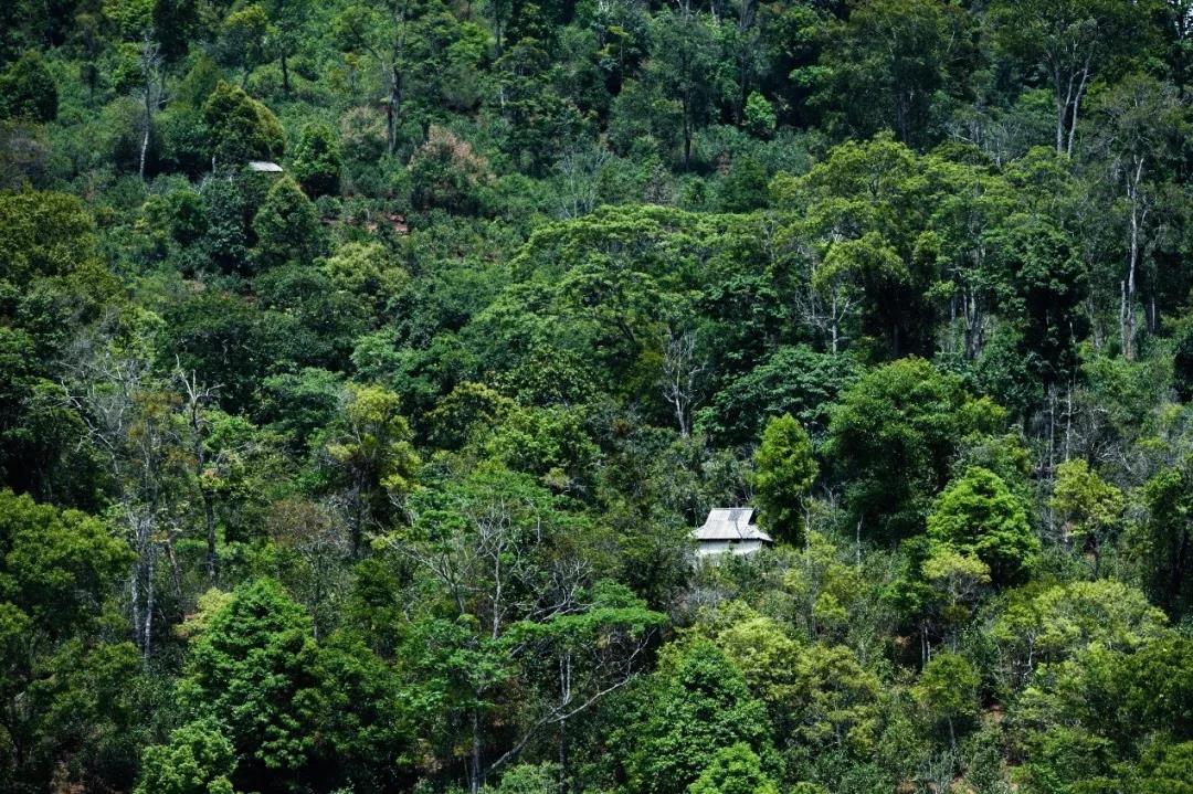 5d75a91fa17d0.jpg 5.jpg