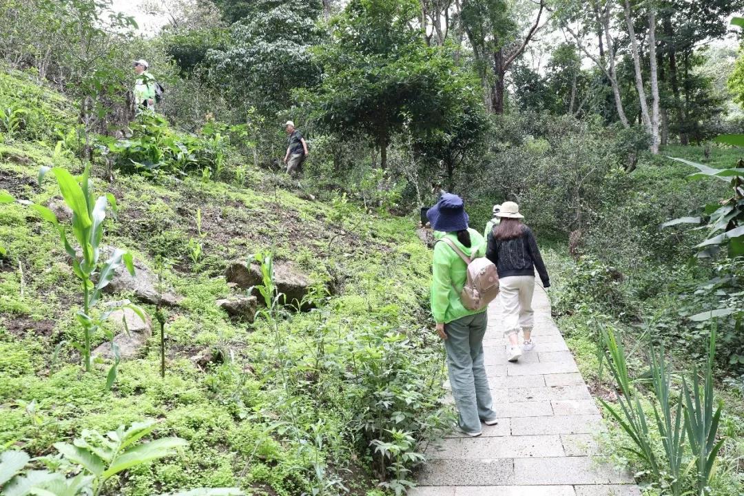 5d75a9268f1a9.jpg 6.jpg