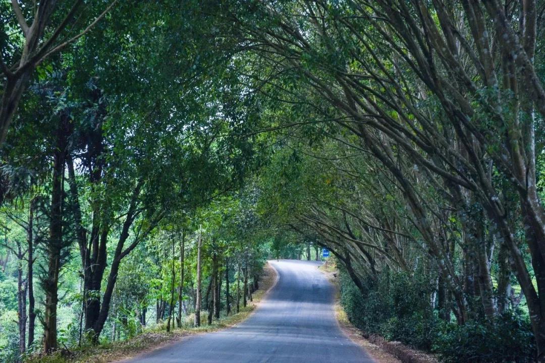 5d75a9e81a1d5.jpg 7.jpg