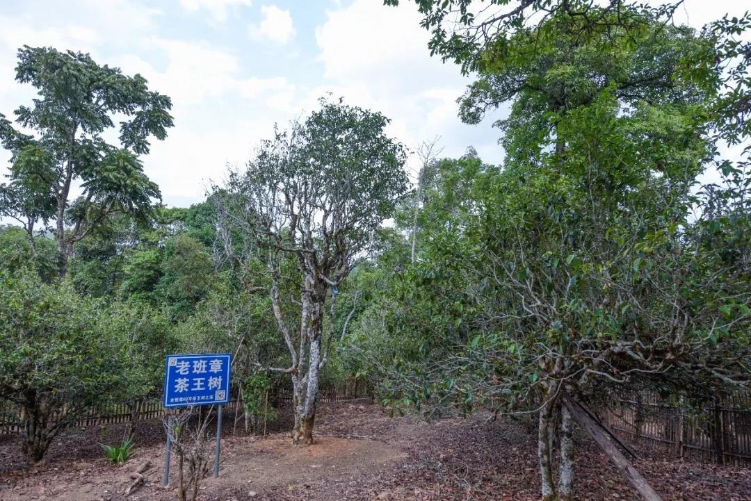 5d75aa5d8a082.jpg 13.jpg