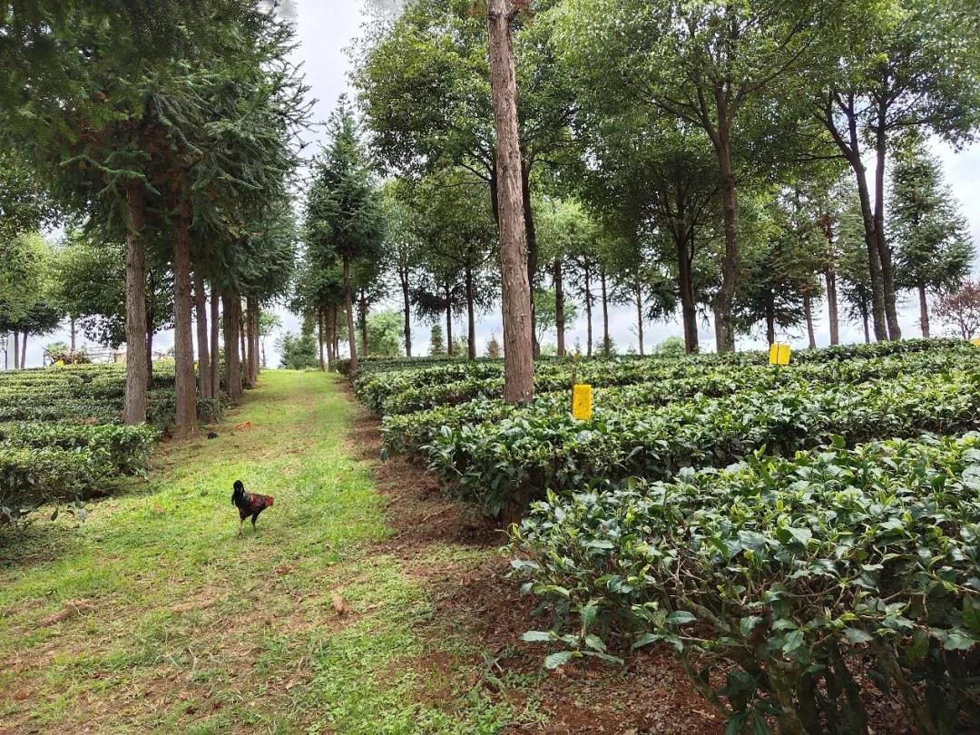 5d75aa750a9a0.jpg 16.jpg