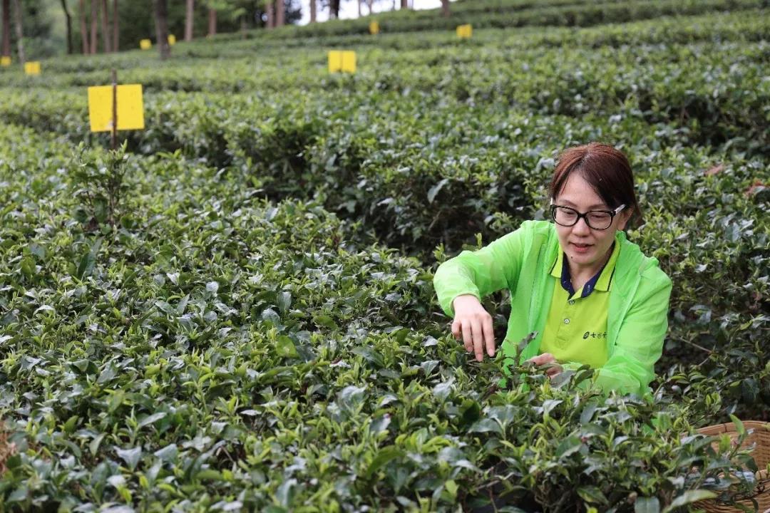 5d75aab58548e.jpg 18.jpg