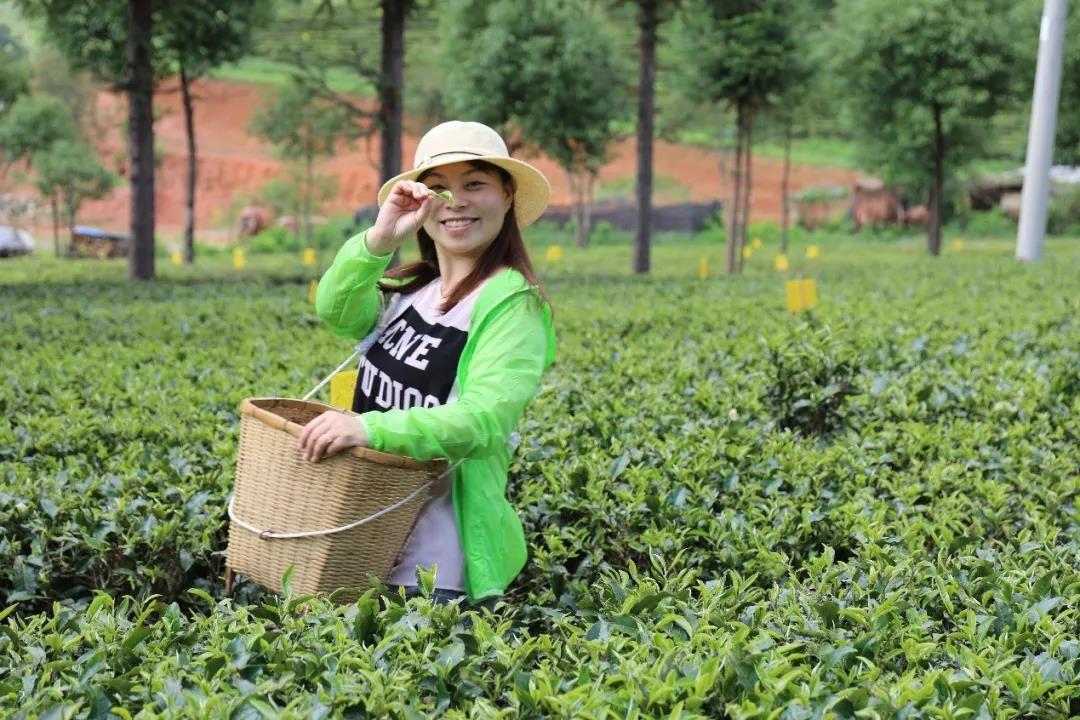 5d75ab0bf04a7.jpg 26.jpg