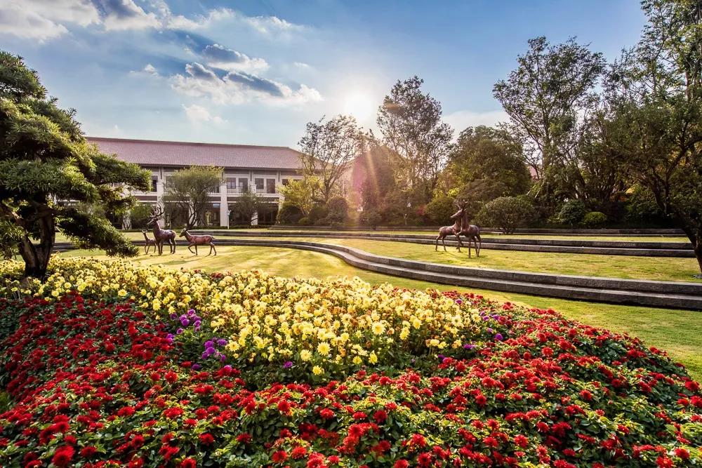 5d75e512c25e8.jpg 15.jpg