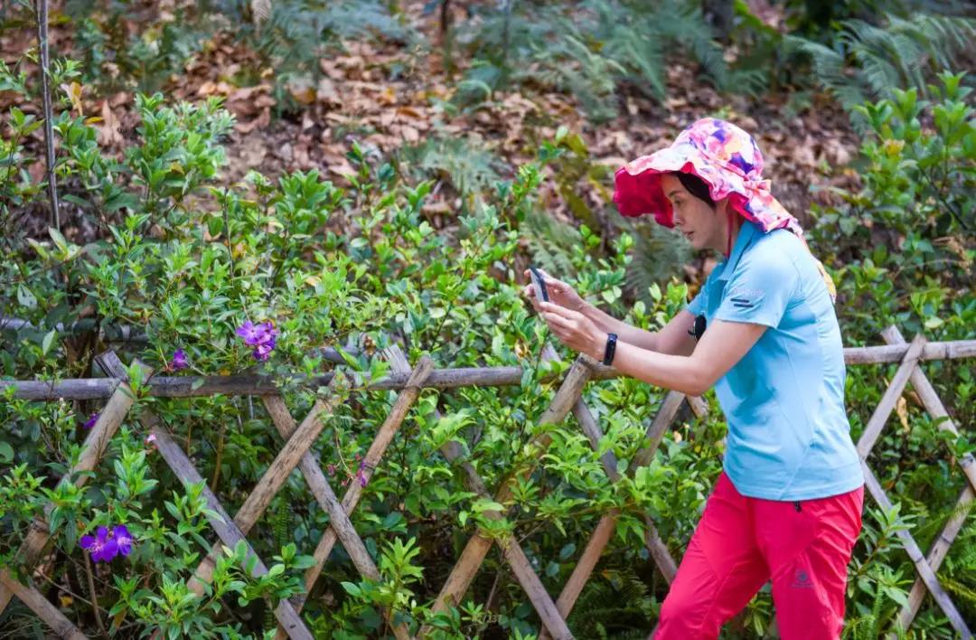 5d76041094de2.jpg 7.jpg