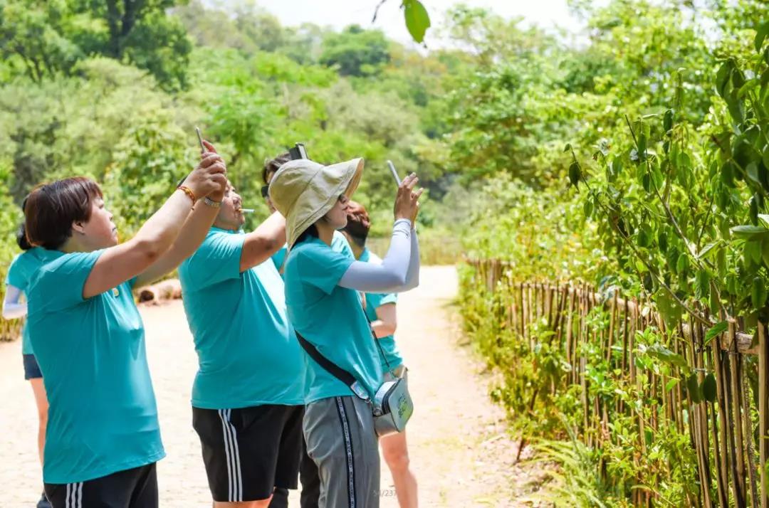 5d7604158b1c5.jpg 8.jpg