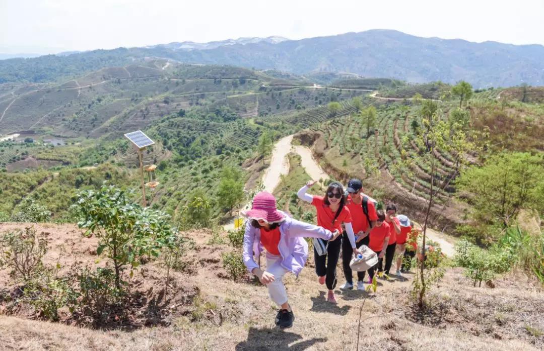 5d760424bd2e8.jpg 11.jpg