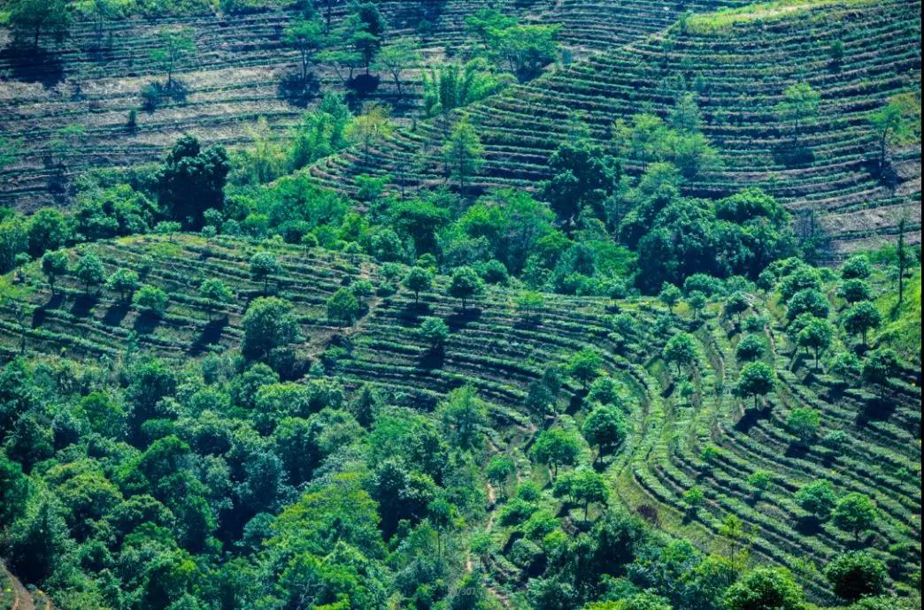 5d76043490dd5.jpg 14.jpg