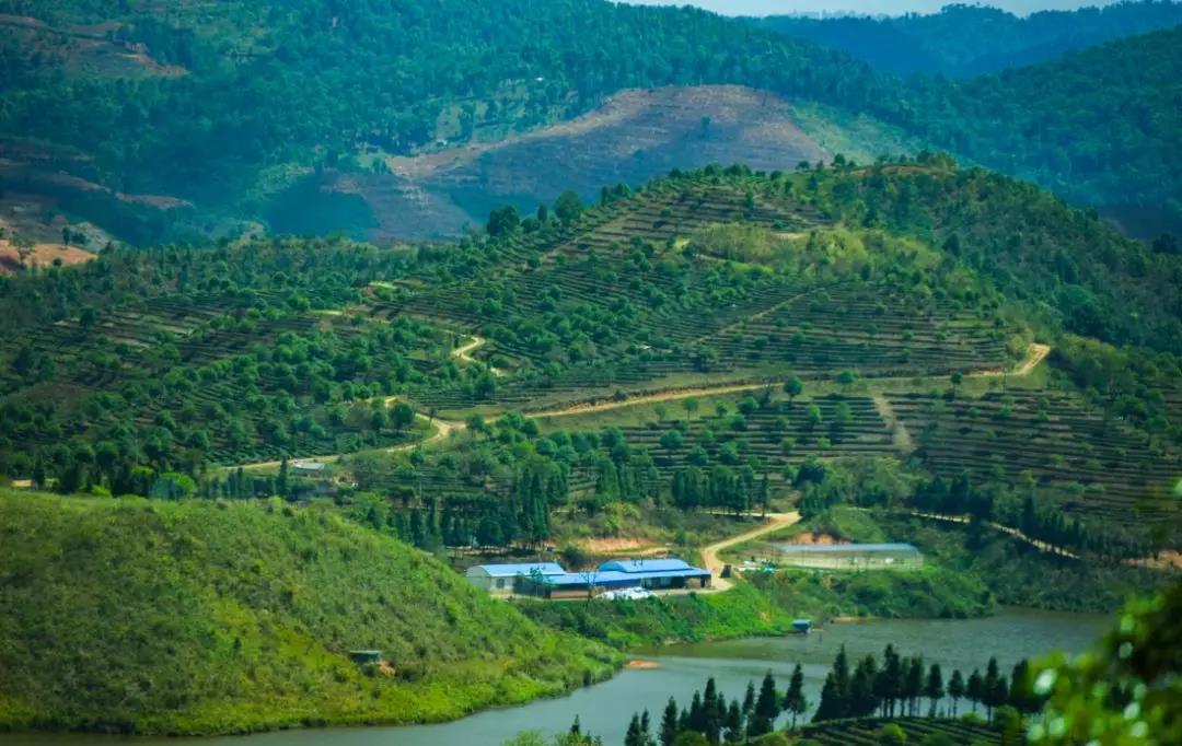 5d76043935152.jpg 15.jpg