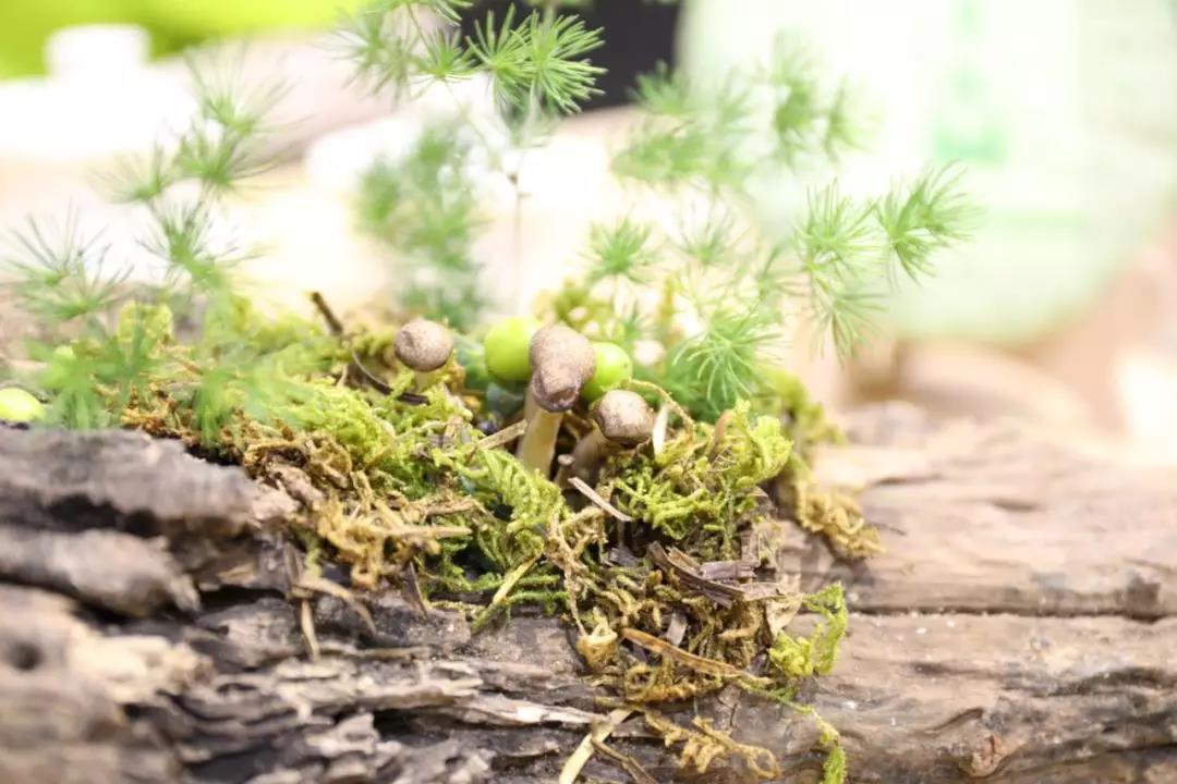 5d77527cae22a.jpg 24.jpg