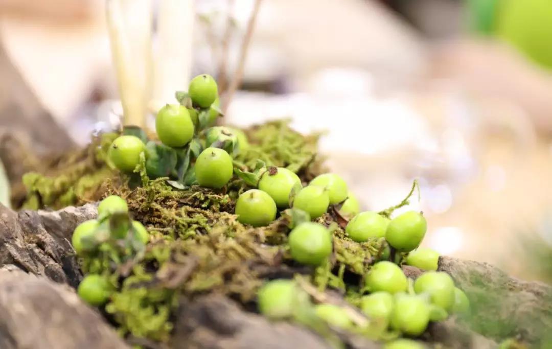 5d775282c011d.jpg 25.jpg