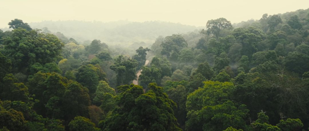 5d79a29973b28.jpg 1.jpg