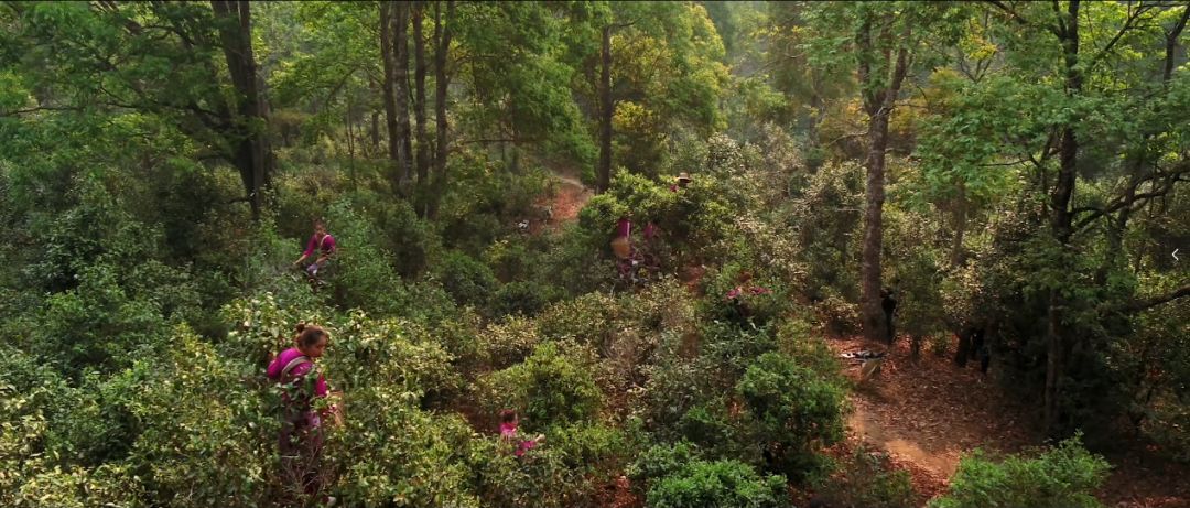 5d79a2b471519.jpg 2.jpg