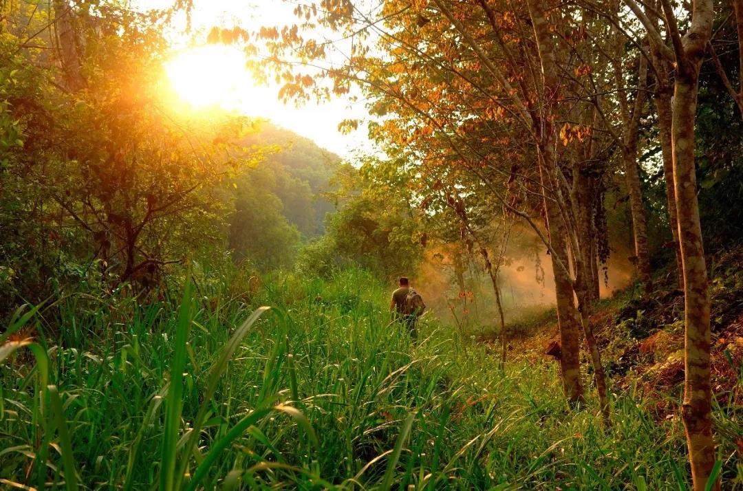 5d79a317169d1.jpg 4.jpg