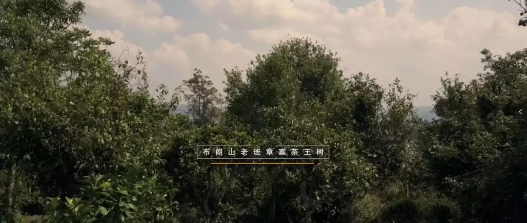 5d79a327e678c.jpg 5.jpg