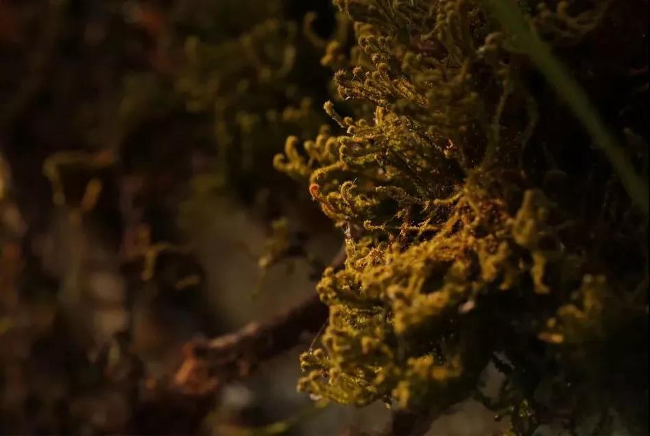 5d79a3563f4c8.jpg 7.jpg