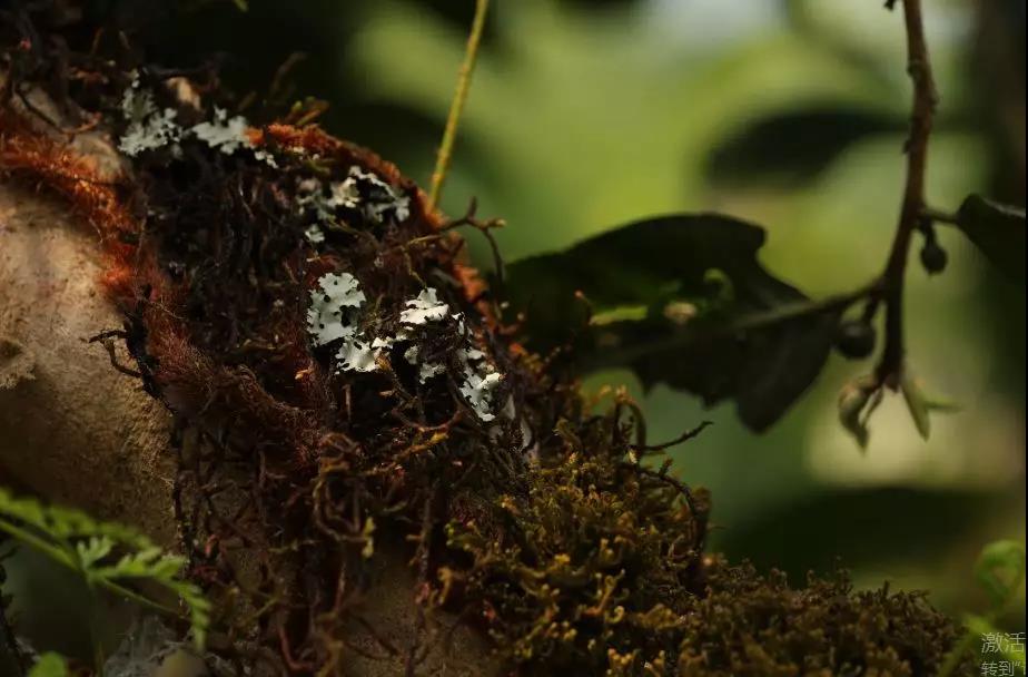 5d79a35b5d324.jpg 8.jpg