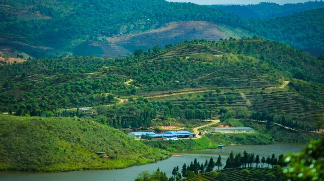 5dc3830b625f5.jpg 5dc3830b625f5.jpg