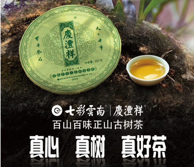 5dc3838f31127.png 5dc3838f31127.png