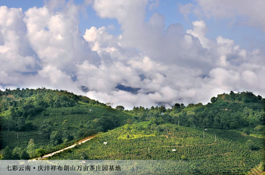 5dc3d03733b37.jpg 5dc3d03733b37.jpg