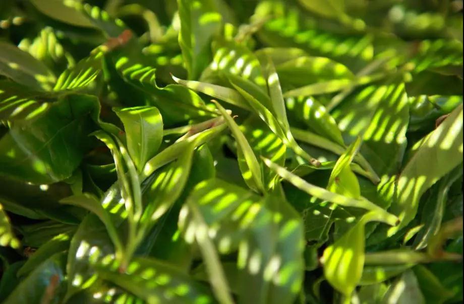 5dc3d05f75e58.jpg 5dc3d05f75e58.jpg