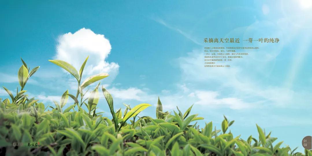 5dc3d067b956c.jpg 5dc3d067b956c.jpg