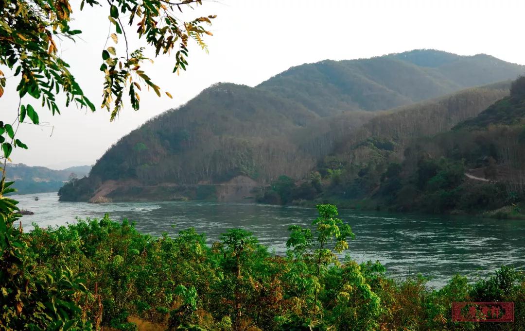 5dc3d2299ad37.jpg 5dc3d2299ad37.jpg