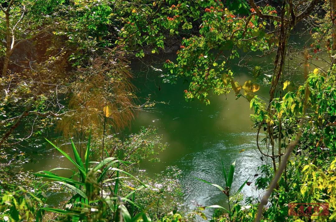 5dc3d23fd8bd1.jpg 5dc3d23fd8bd1.jpg