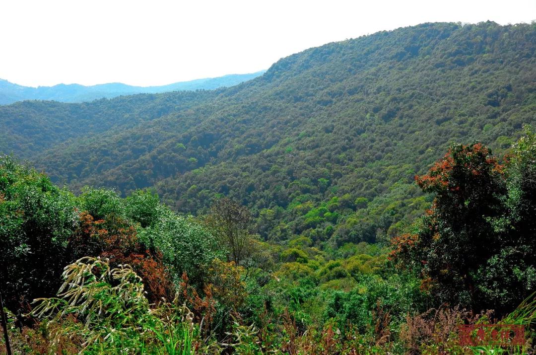 5dc3d2689ae73.jpg 5dc3d2689ae73.jpg