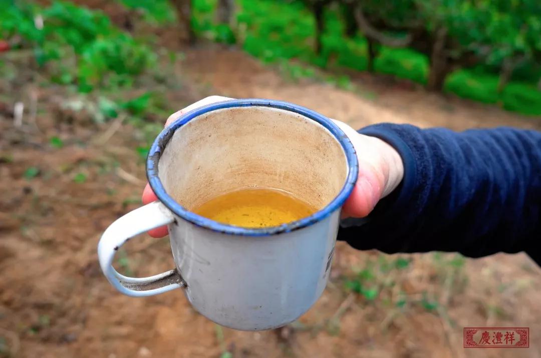 5dc3d41b4ed3e.jpg 5dc3d41b4ed3e.jpg