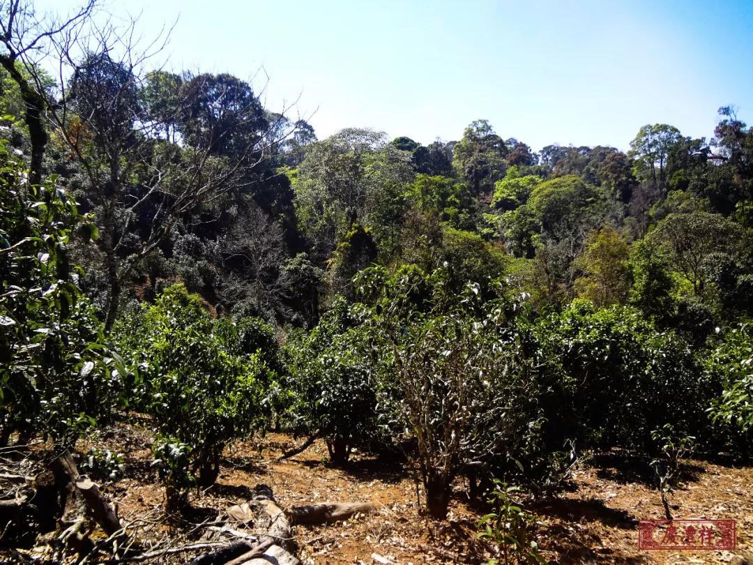 5dc3d46407507.jpg 5dc3d46407507.jpg