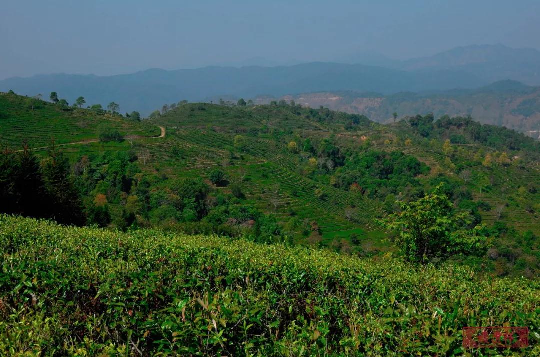 5dc3d494eb296.jpg 5dc3d494eb296.jpg