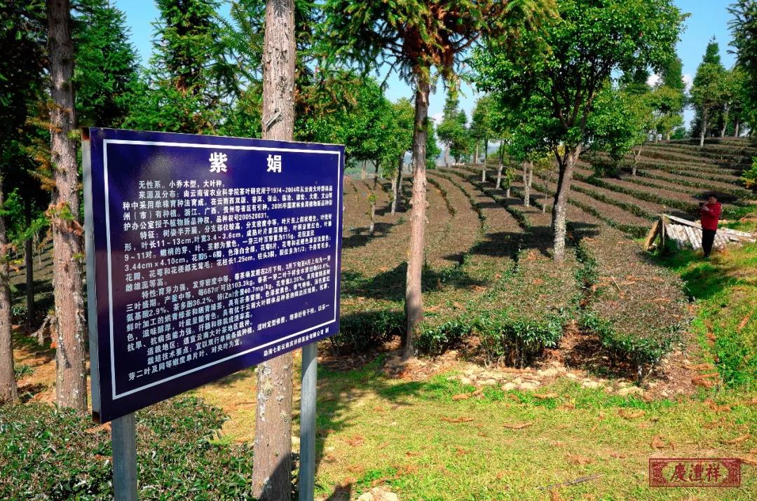 5dc3d4c94f70e.jpg 5dc3d4c94f70e.jpg