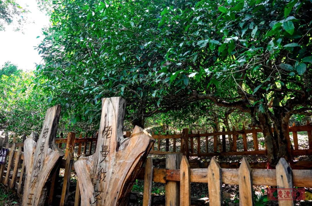 5dc3d4f7d3624.jpg 5dc3d4f7d3624.jpg