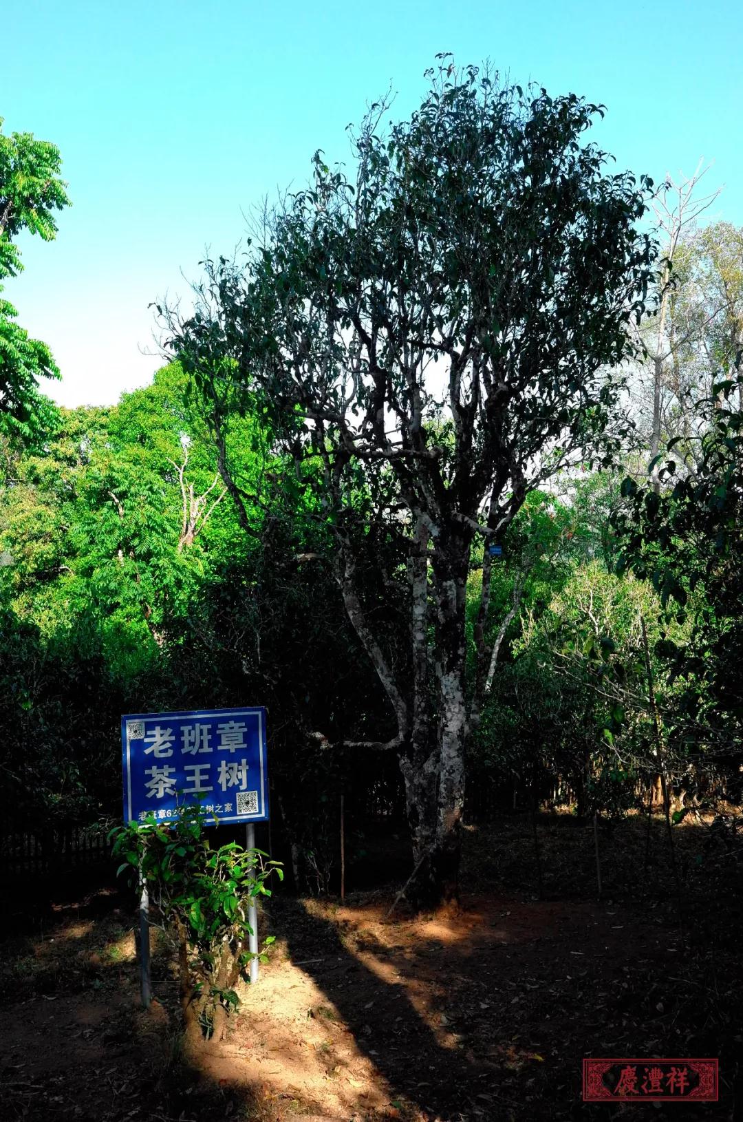 5dc3d531727e1.jpg 5dc3d531727e1.jpg