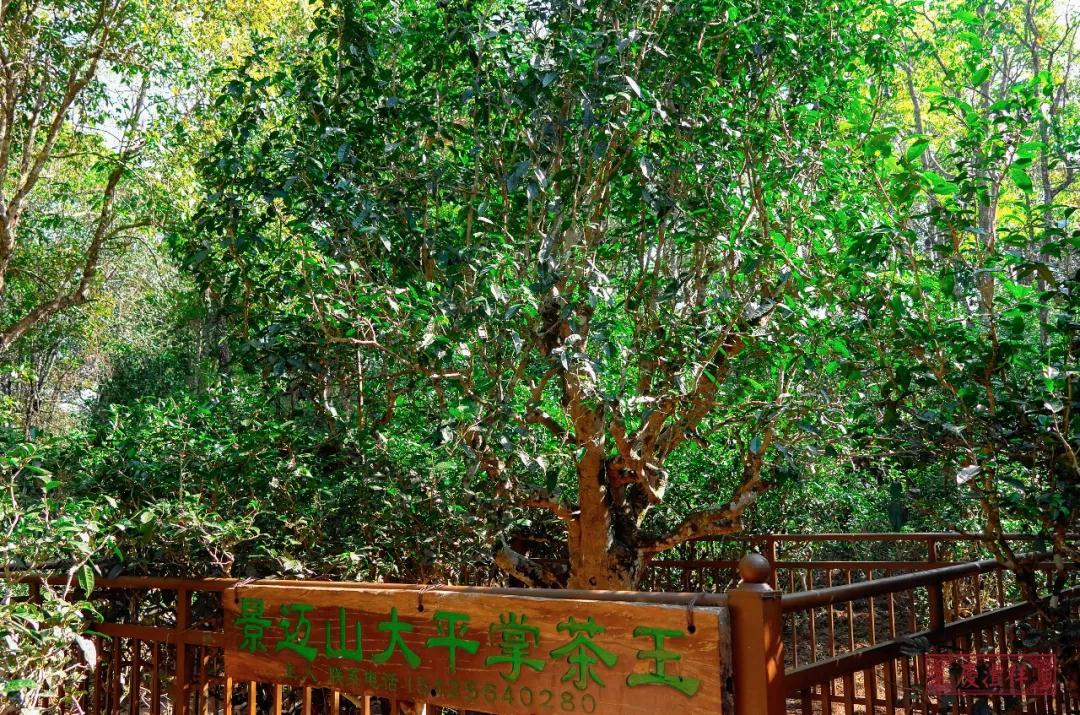 5dc3d5b70ff4b.jpg 5dc3d5b70ff4b.jpg