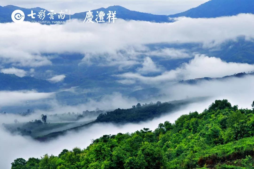 5dc511fd9fda8.jpg 2.jpg