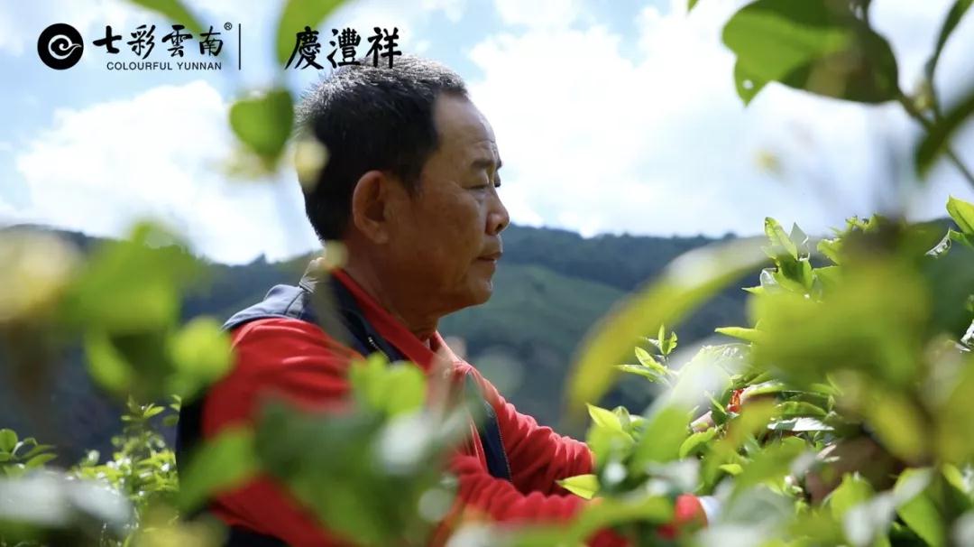 5dc5122657648.jpg 6.jpg