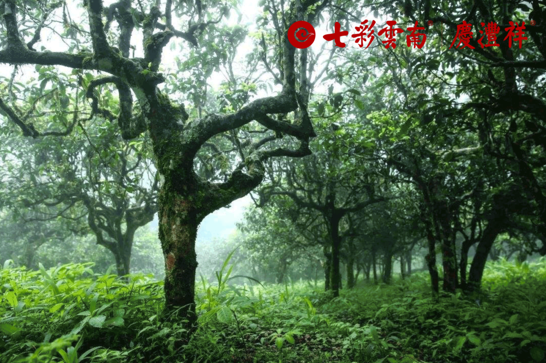 5e72d0bc5b707.png image.png