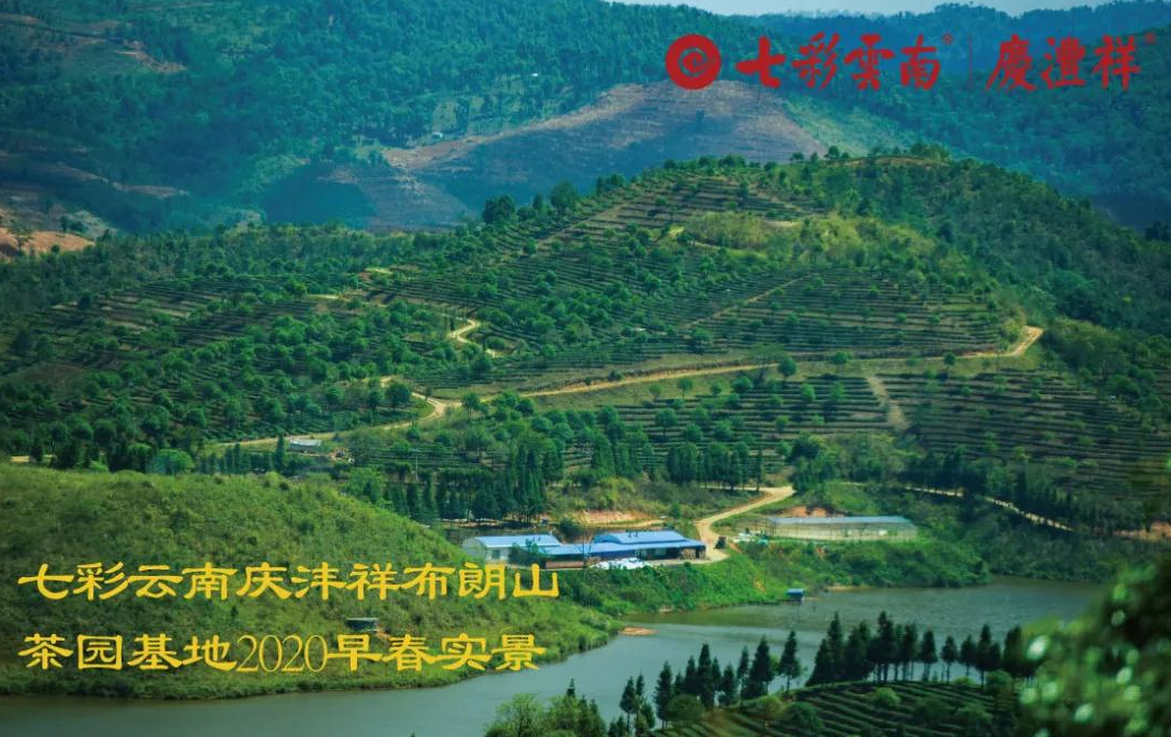 5e72d12a57ed0.png image.png