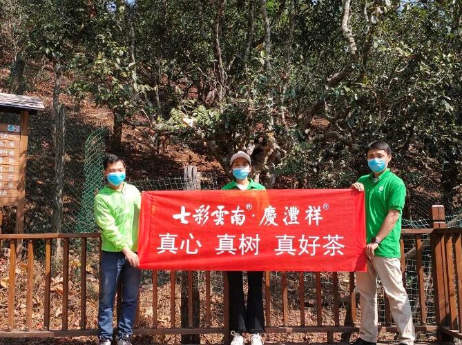 5e786e6bc772c.jpg QQ圖片20200323112106.jpg