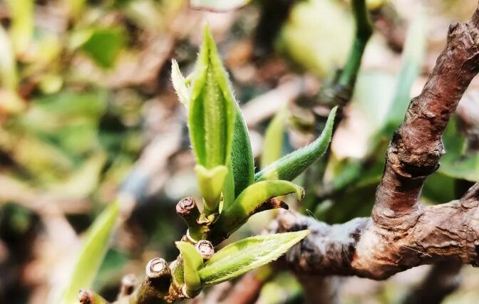 5e78709b2bf74.jpg QQ圖片20200323112057.jpg