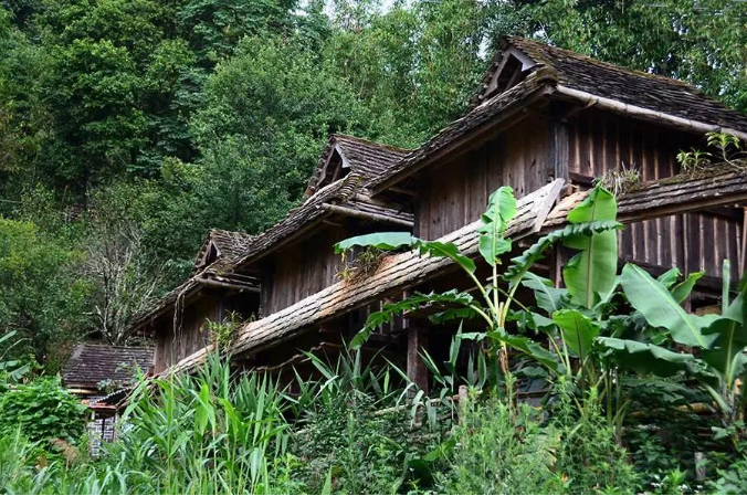 5f334b3d2dc5e.png blob.png