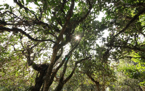 5f334b66098b3.png blob.png