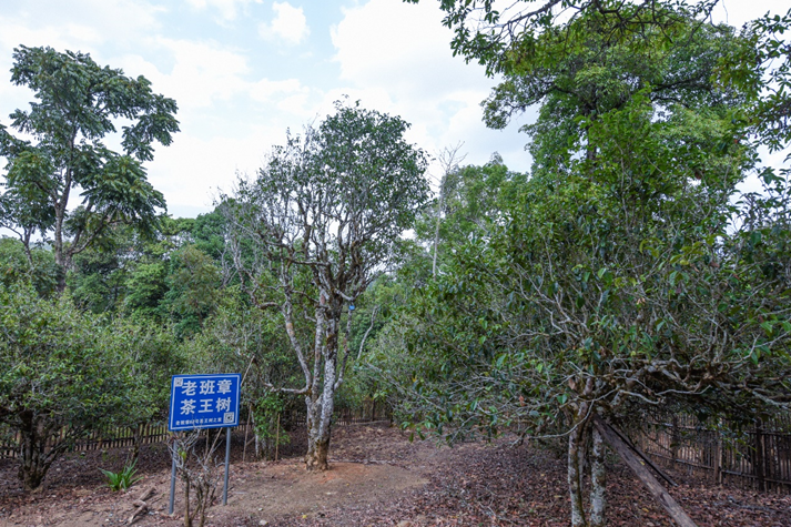 5f36202b22a14.png blob.png