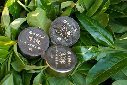 61691fdcab987.jpg 640.webp (1).jpg