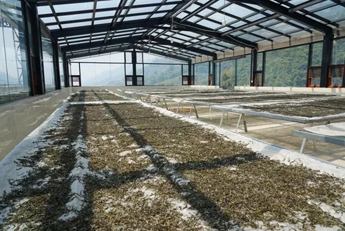 616920b2eec85.jpg 640.webp (4).jpg