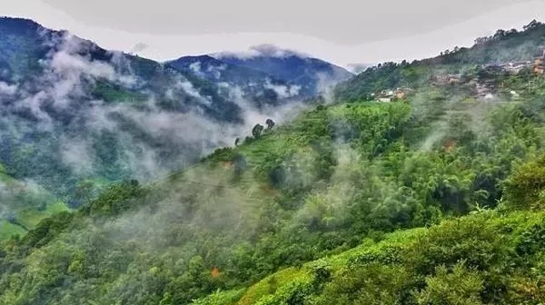 616926c3e7215.jpg 640.webp.jpg