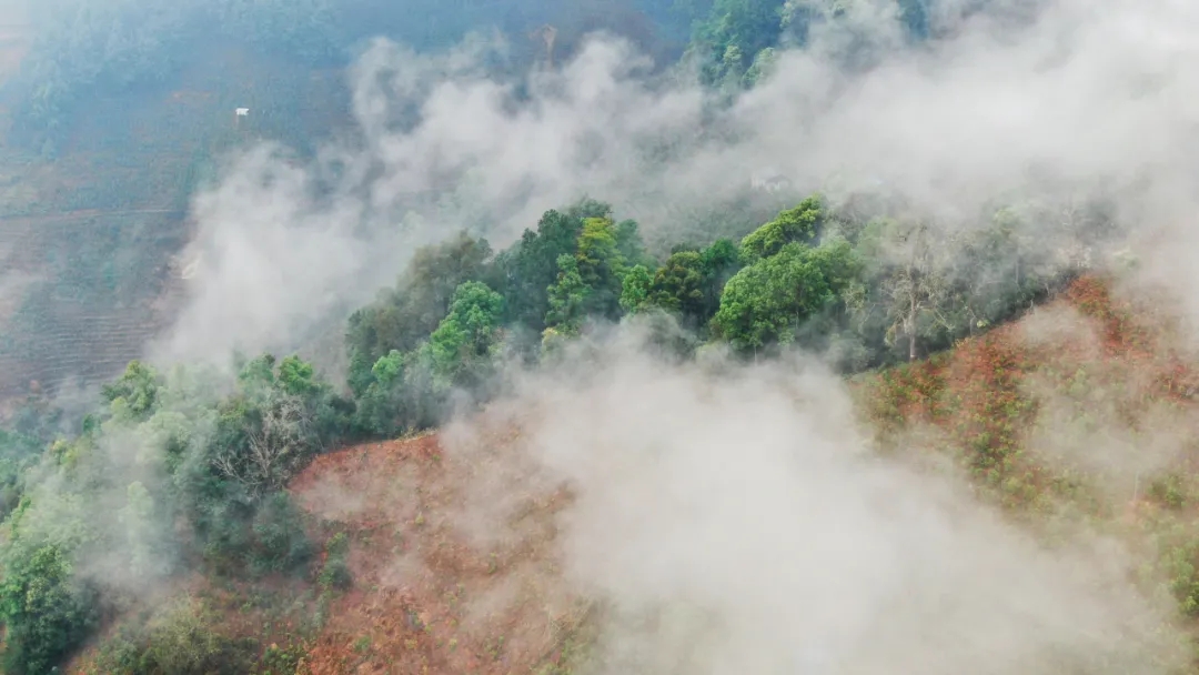 616ce123350a2.jpg 640.webp (1).jpg