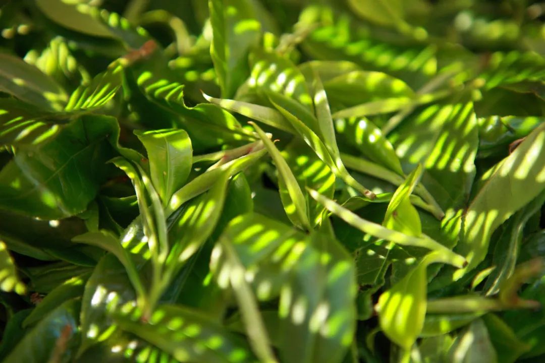 623ec2478bb46.jpg 623ec2478bb46.jpg